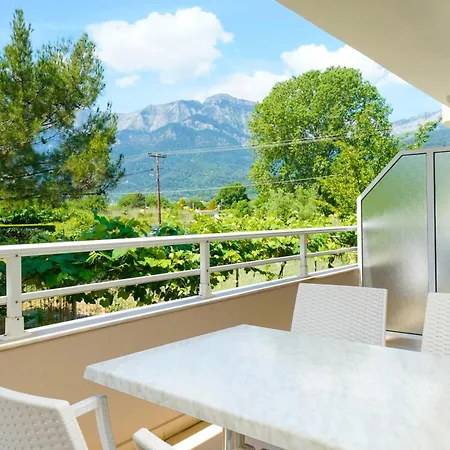 Elena 克里斯阿穆迪亚